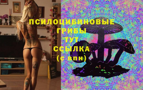 ALPHA PVP Алексин