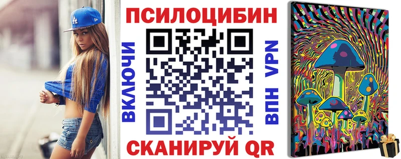 Псилоцибиновые грибы Cubensis наркота Шимановск